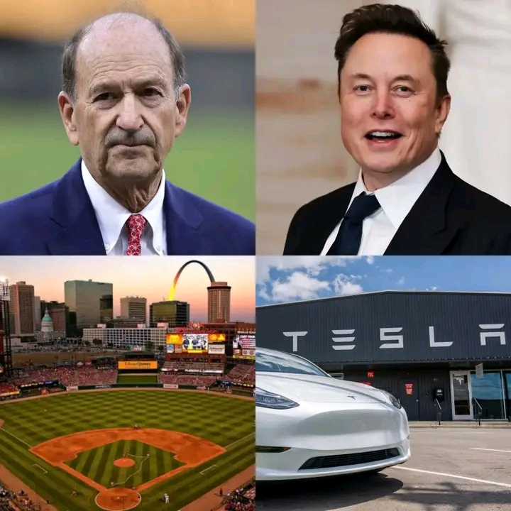 WOW: St. Louis Cardinals Turn Down Elon Musk’s Tesla Ad Deal at Busch Stadium Worth Millions! William O. DeWitt Jr. Offers Strong Justification, Leaving Elon Musk Unusually Quiet…